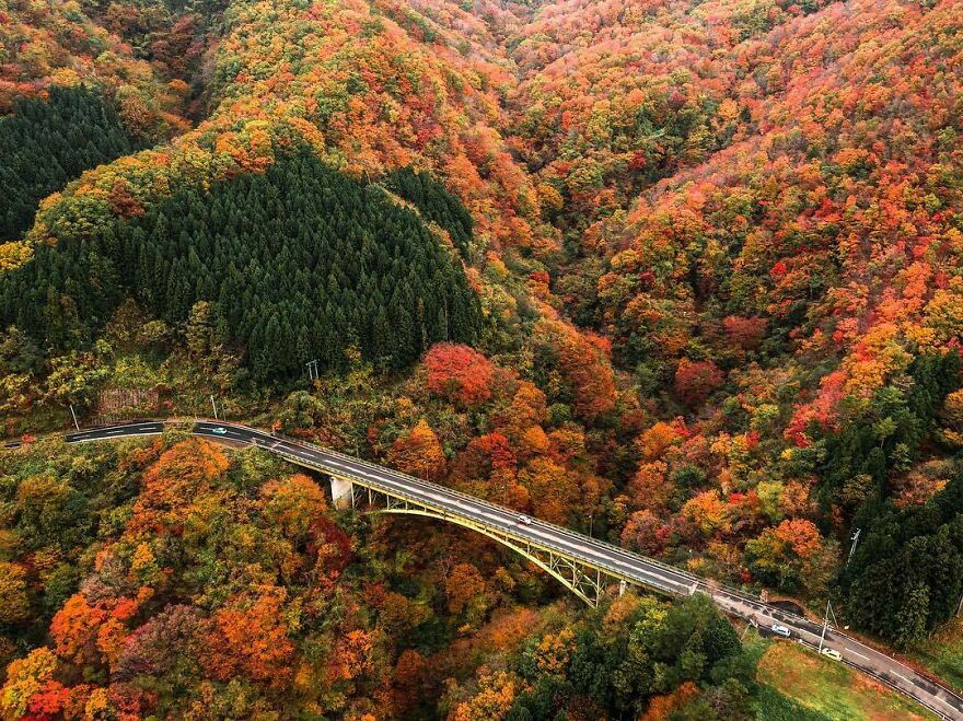 La Colorida Naturaleza De Japón Desde El Aire: 30 Fotos Con Dron