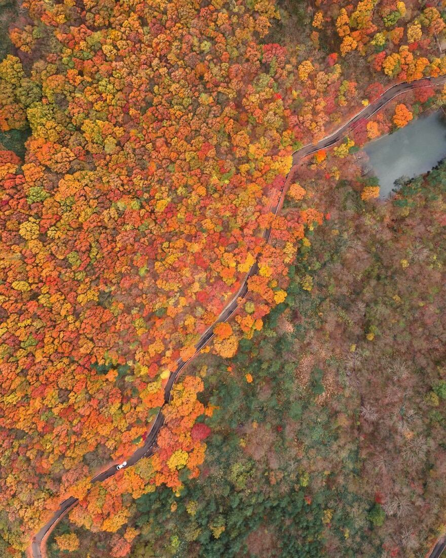 La Colorida Naturaleza De Japón Desde El Aire: 30 Fotos Con Dron