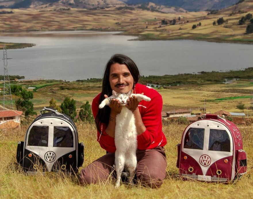Este tiktoker peruano se ha vuelto popular en toda Latinamérica por salvar todos los gatos posibles