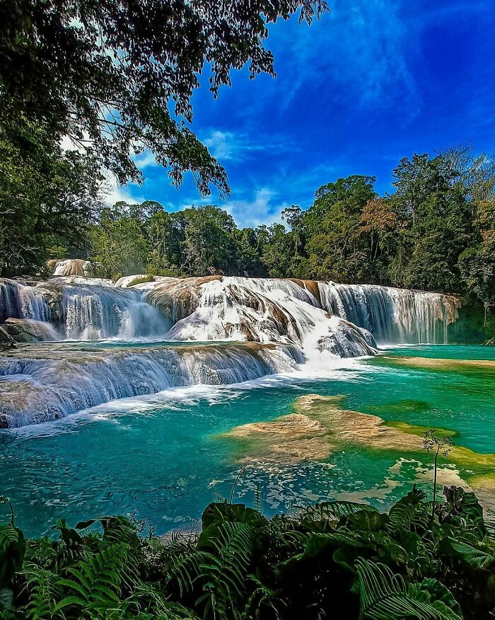 Cascadas De Agua Azul, Chiapas