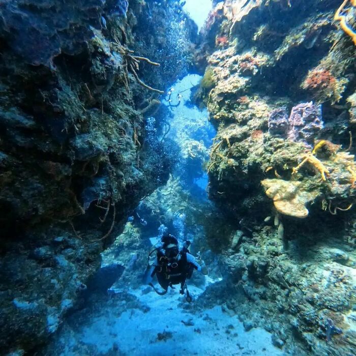 Isla Cozumel