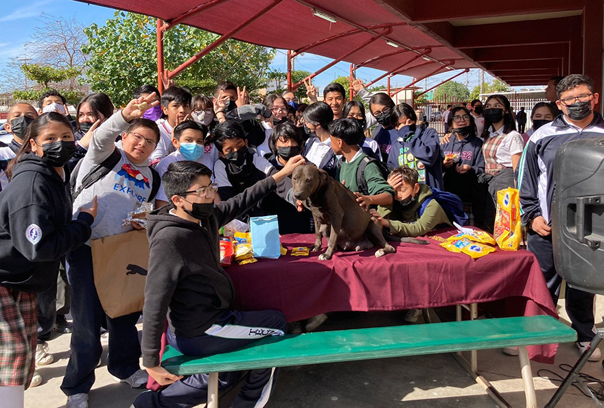 En esta escuela mexicana rescataron a una perrita, y poco después dio a luz a 8 adorables cachorros