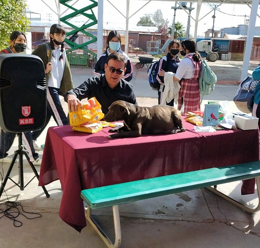 En esta escuela mexicana rescataron a una perrita, y poco después dio a luz a 8 adorables cachorros