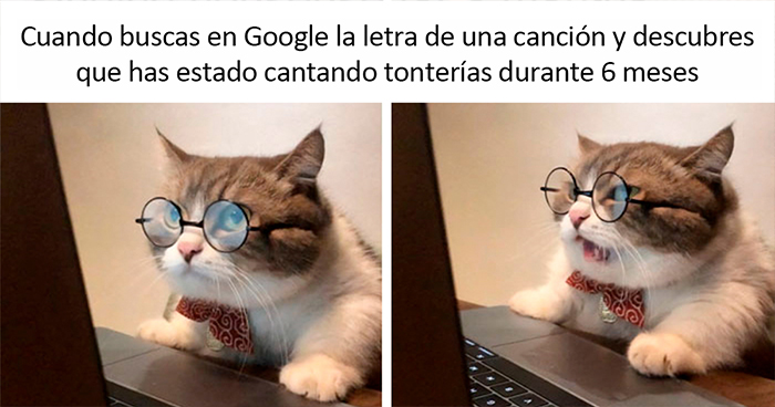 Estos divertidos 20 memes de animales te alegrarán el día