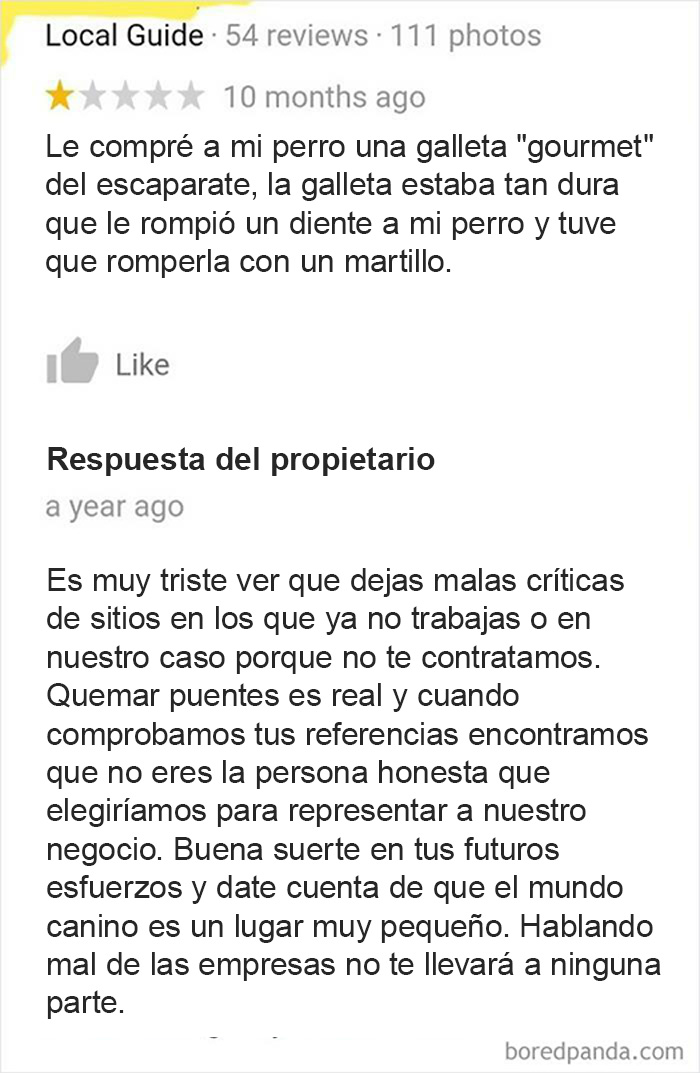 Miente en la reseña de Google de una tienda de mascotas porque no le quieren contratar. El propietario responde