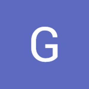 gestorfibra avatar