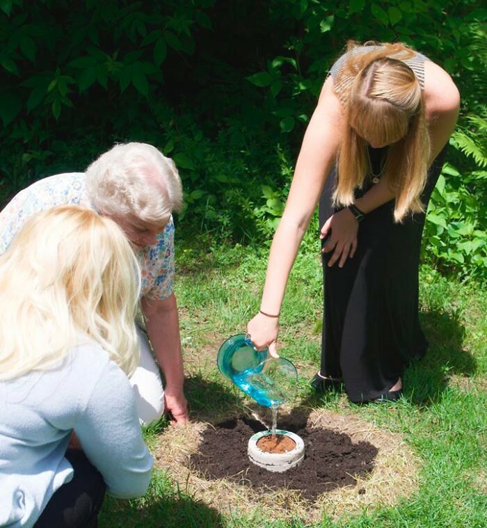 "El bosque de vida": Abre el primer cementerio ecológico donde los fallecidos se convierten en árboles