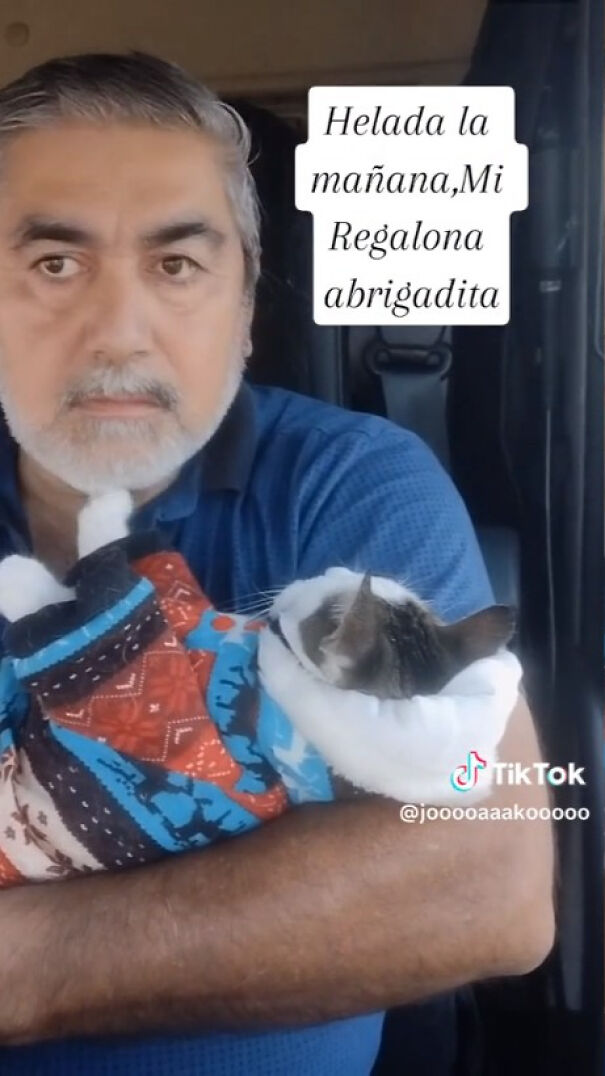 Este camionero chileno va siempre acompañado de su gata, y es adorable