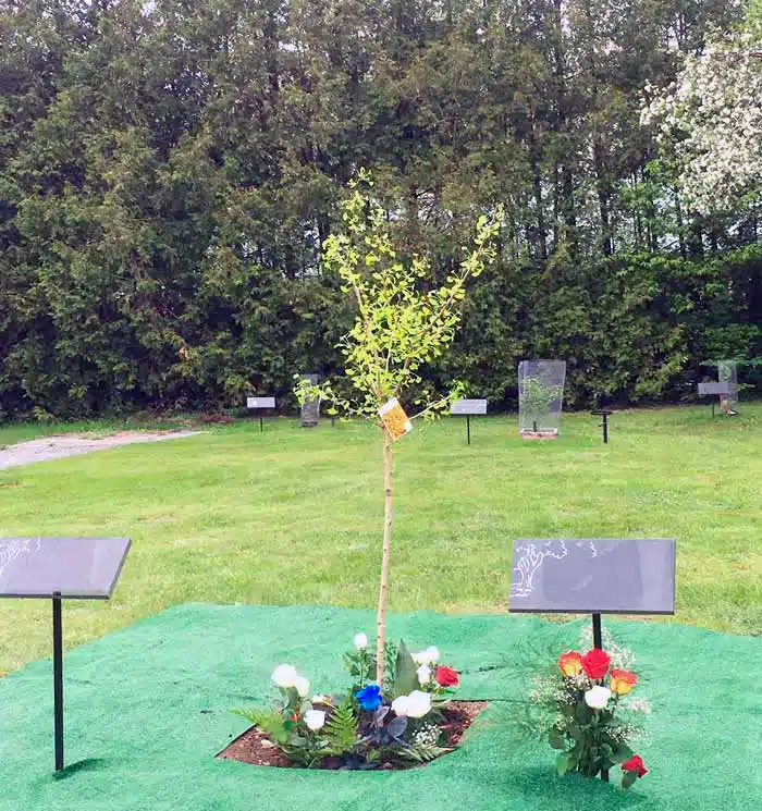 "El bosque de vida": Abre el primer cementerio ecológico donde los fallecidos se convierten en árboles