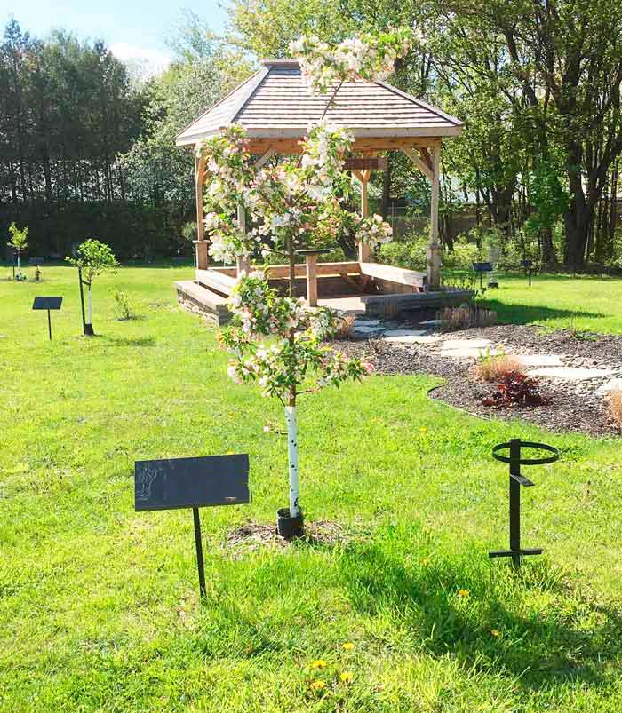 "El bosque de vida": Abre el primer cementerio ecológico donde los fallecidos se convierten en árboles