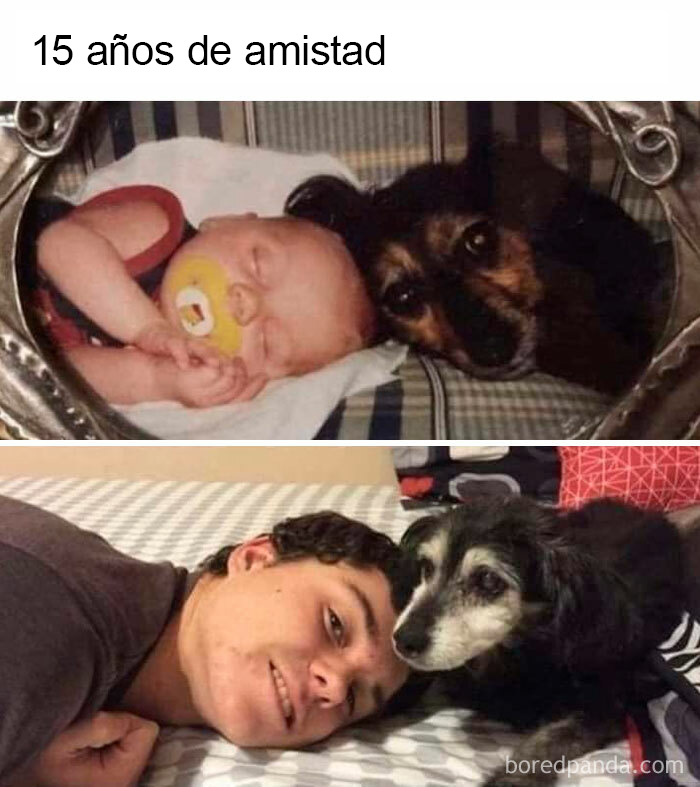 ¡Verdaderamente el mejor amigo del hombre!