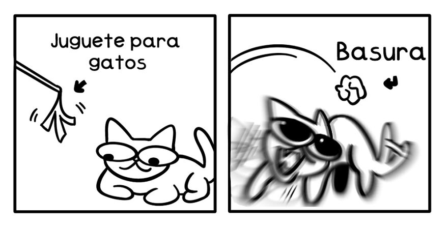 Comportamiento Típico Gatuno 2