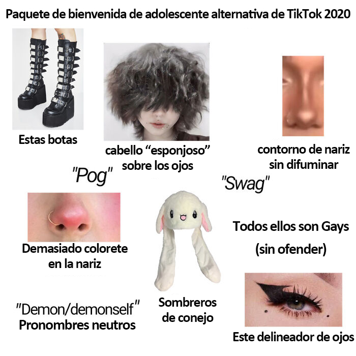 2020 Tiktok Alt Kid Starterpack