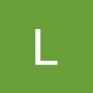 lulug avatar