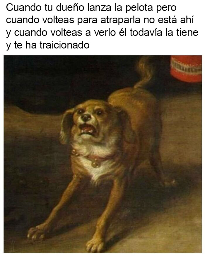 Las pelotas de tenis y el perro