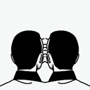 zenidelgado avatar