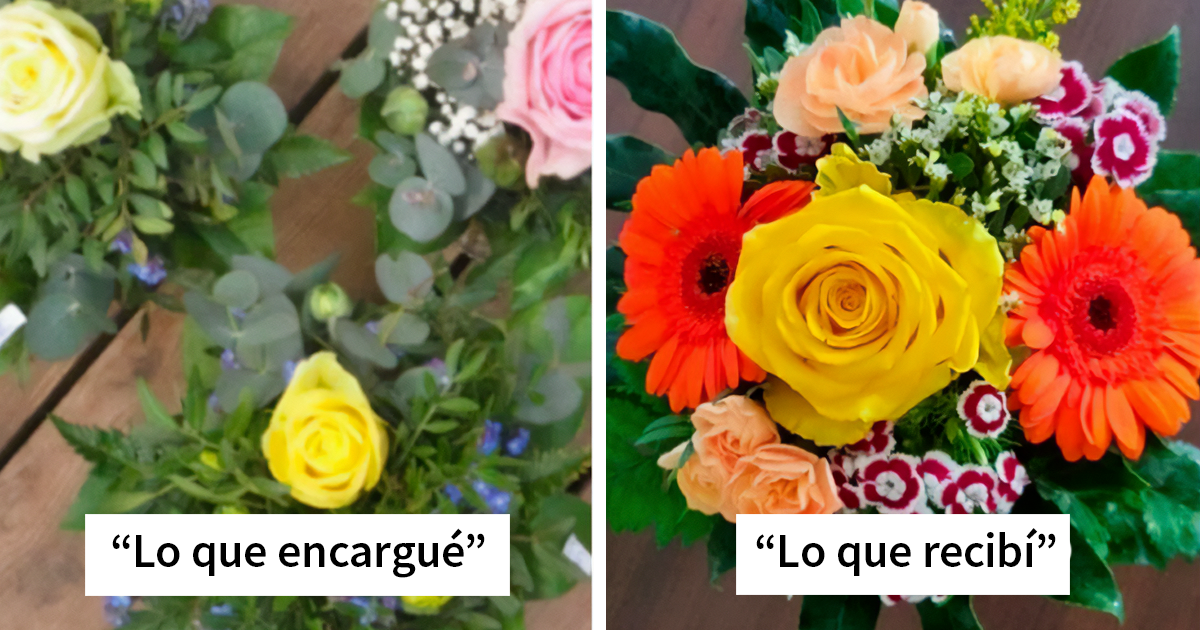 43 Momentos de «Expectativas VS Realidad» en que los resultados superaron cualquier expectativa