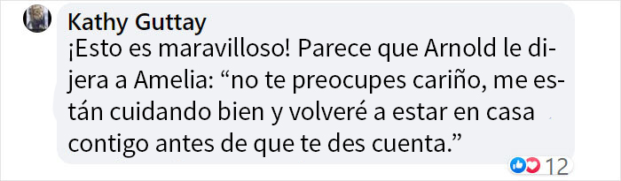 Este ganso llamó a la puerta del centro veterinario donde estaban operando a su pareja, exigiendo verla