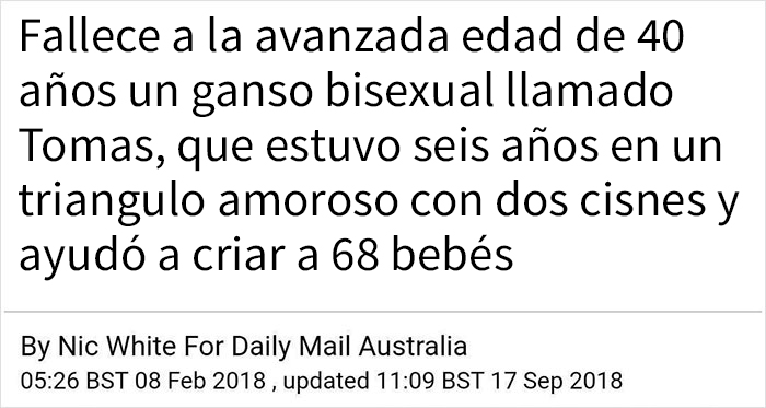  El ganso bisexual