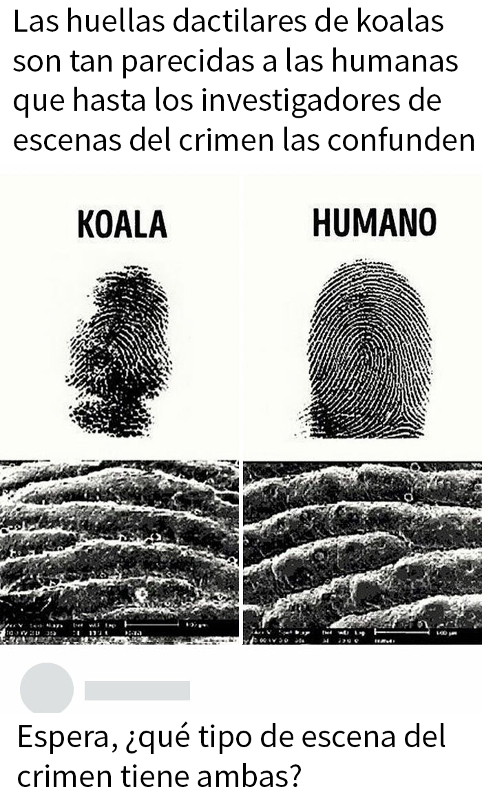 Forenses volviéndose locos