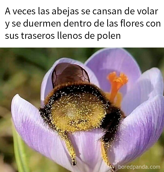 La naturaleza puede ser adorable