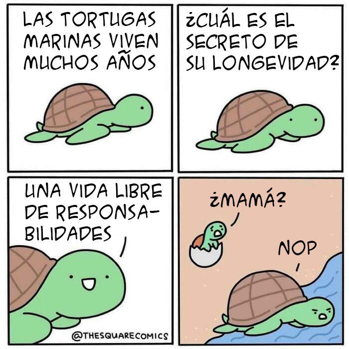 ¡Adiós!