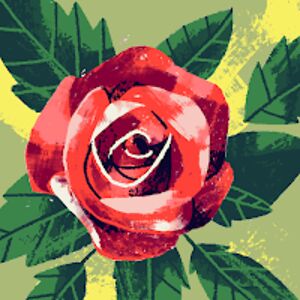 rosaobregon avatar