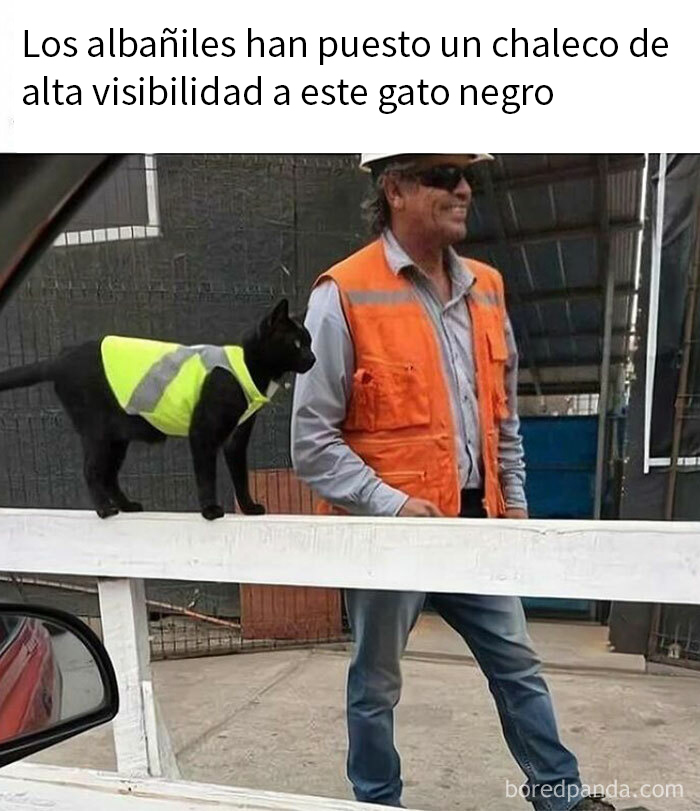 Blessed_black Cat