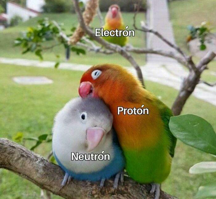 50 Clever Science Memes That Have Been Scientifically Proven To Cause Laughter