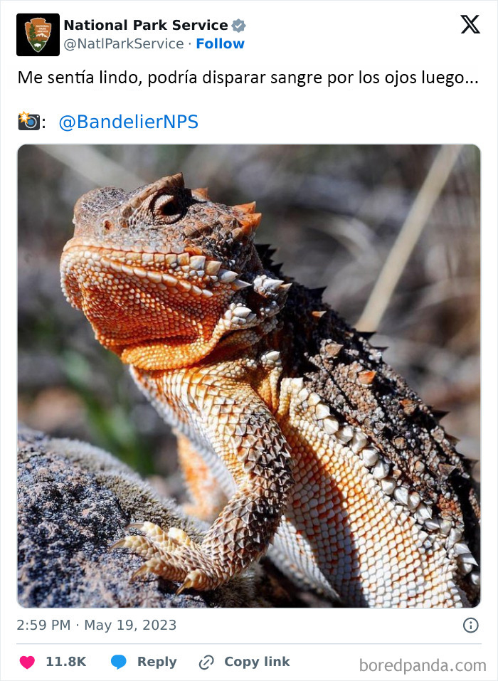 National Park Service Hired The Perfect Social Media Person As Their Tweets Are Hilarious (50 New Pics)