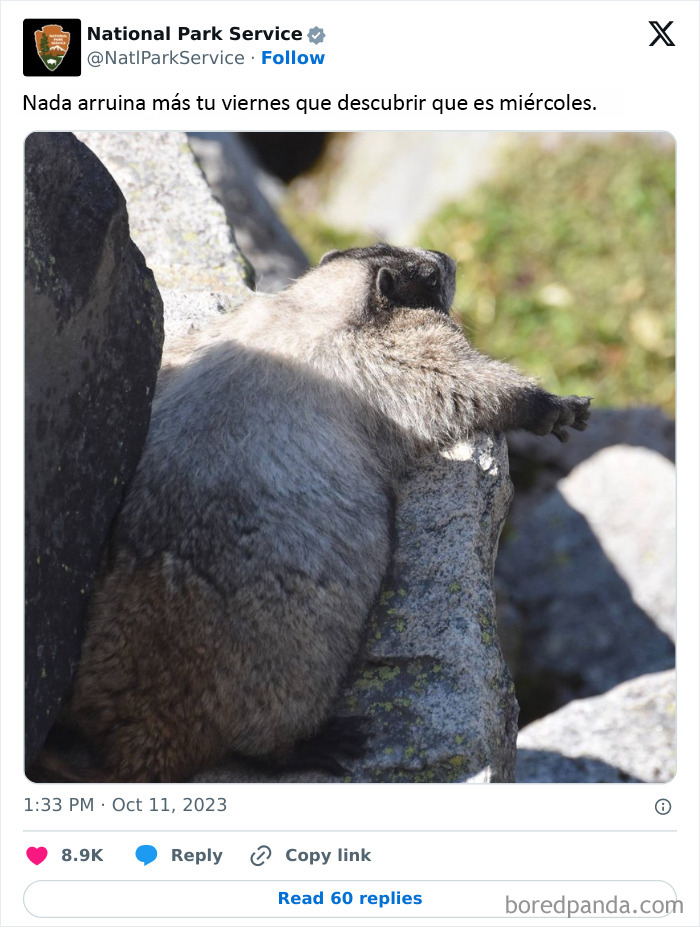 National Park Service Hired The Perfect Social Media Person As Their Tweets Are Hilarious (50 New Pics)