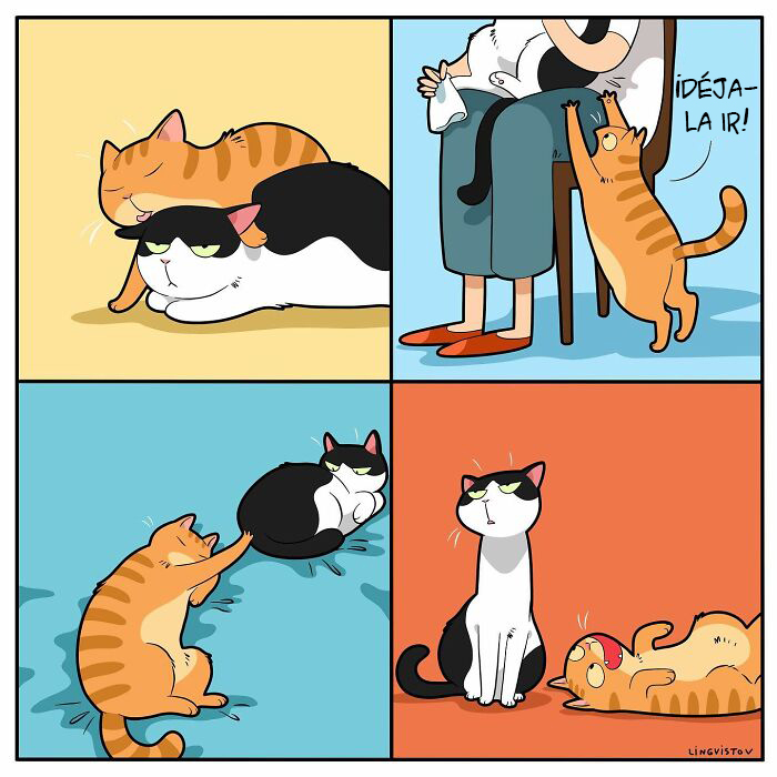 Artist Illustrates What It's Like To Live With A Cat (30 New Pics)