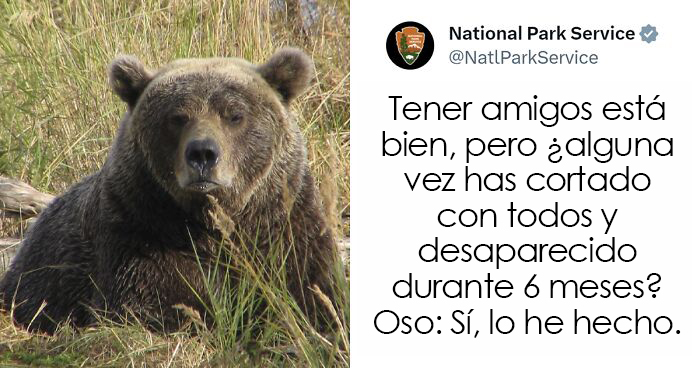 El Servicio de Parques Nacionales de los Estados Unidos tiene la persona perfecta para las redes sociales porque sus tuits son divertidísimos (25 fotos)