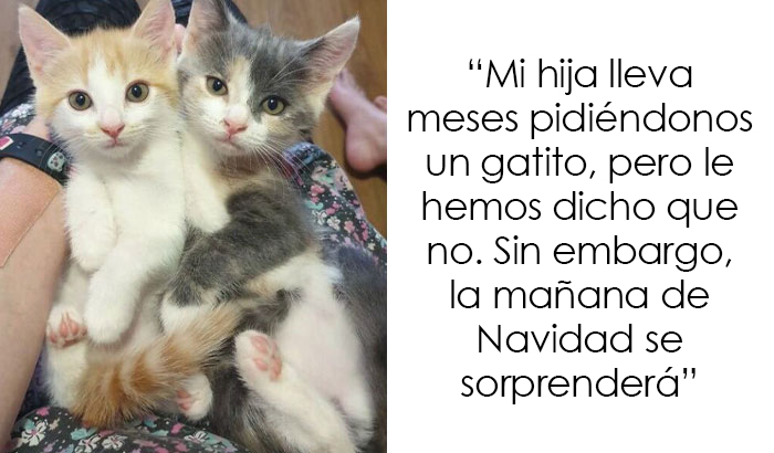 40 Padres y madres geniales que se merecen una medalla por lo sanos y solidarios que son (nuevas fotos)