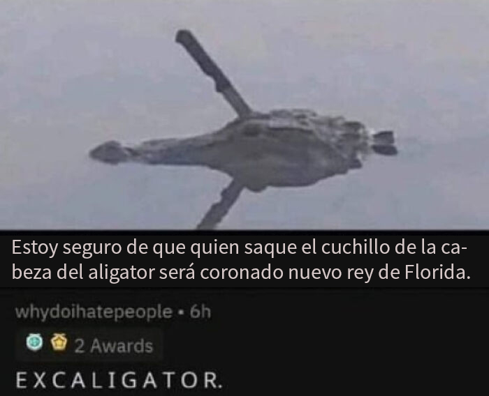 ¡Excaligator!