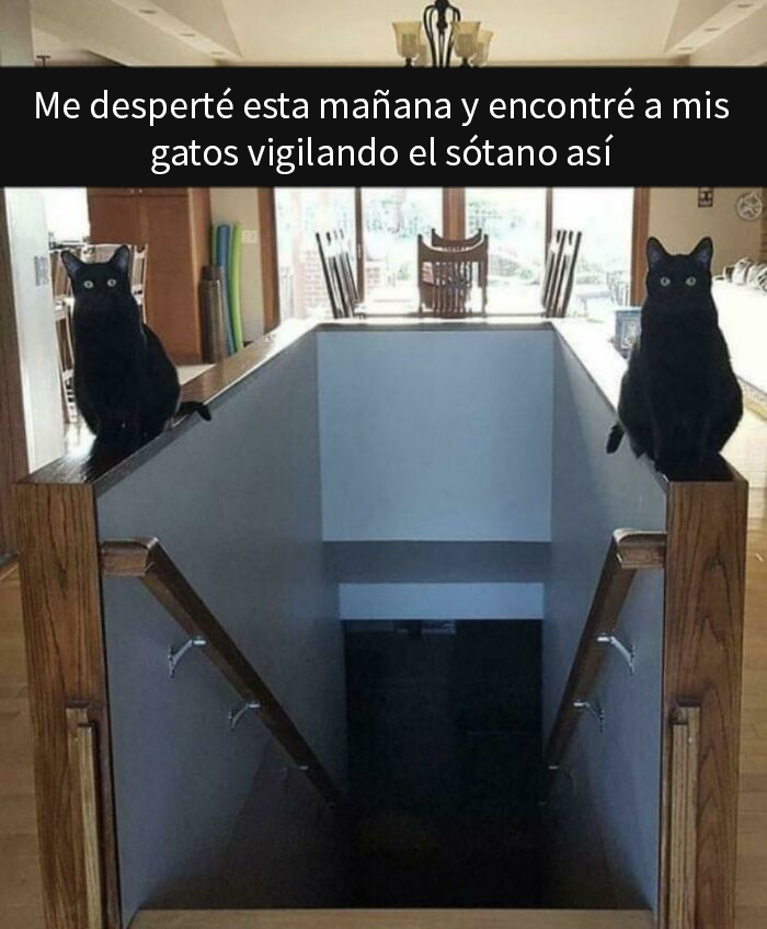 Los guardianes gemelos de la puerta oscura