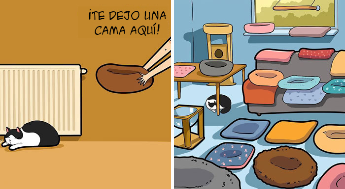 Una artista ilustra cómo es vivir con un gato (30 fotos nuevas)