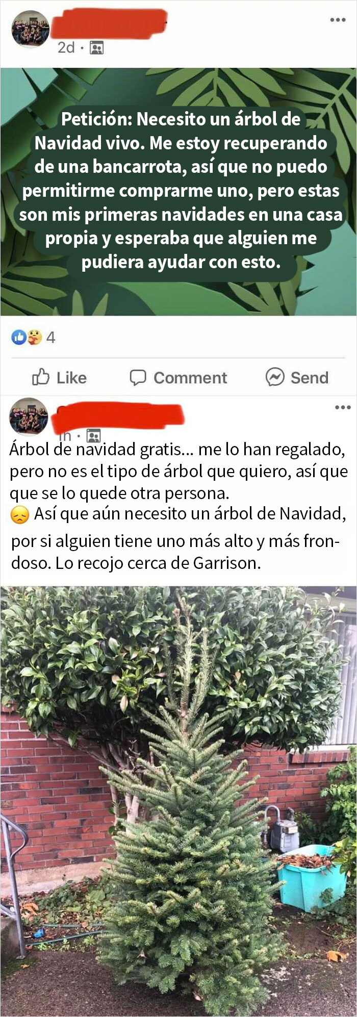 Este árbol no es lo bastante alto ni frondoso para mi