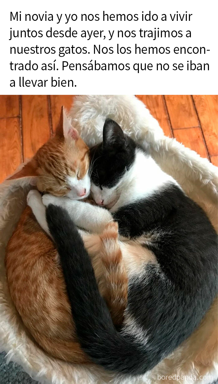 Wholesome Moved In Together