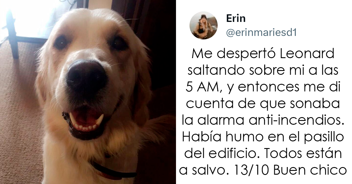 20 Memes y publicaciones reconfortantes para recordarnos que no todo es malo en el mundo