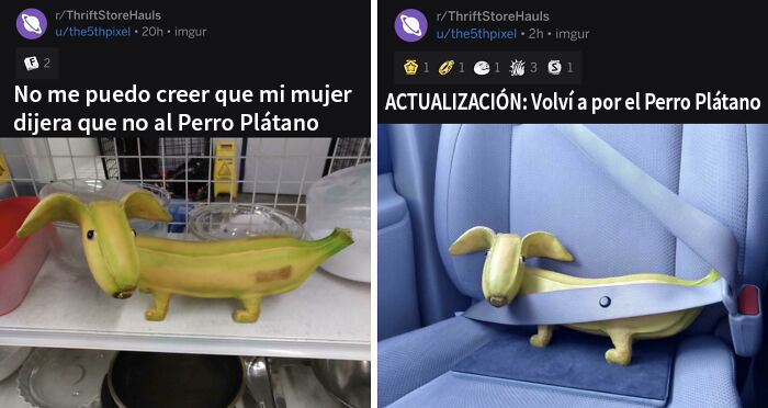 Perro plátano