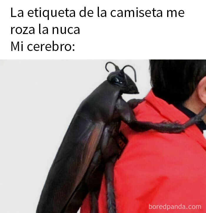 Totalmente cierto