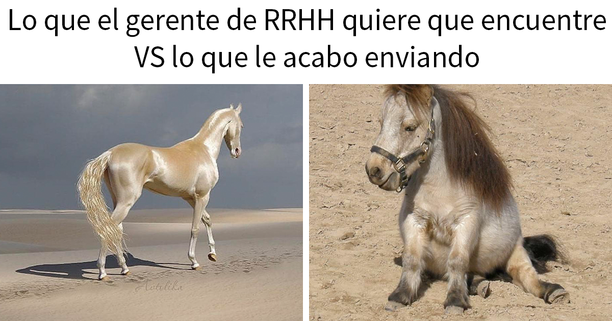 20 Divertidos memes sobre el trabajo de reclutador de personal