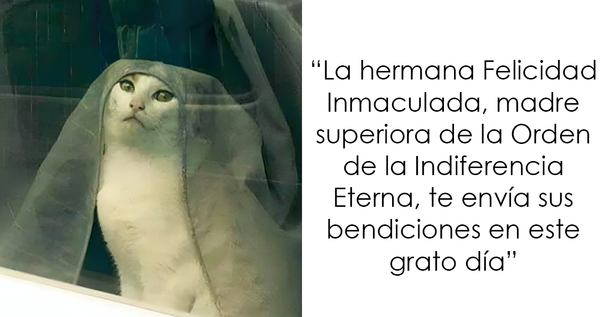 20 Fantásticos memes de gatos para alegrarte el día