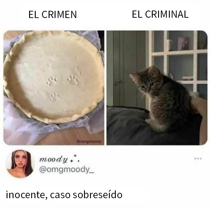 Justicia