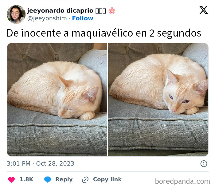 Está en él