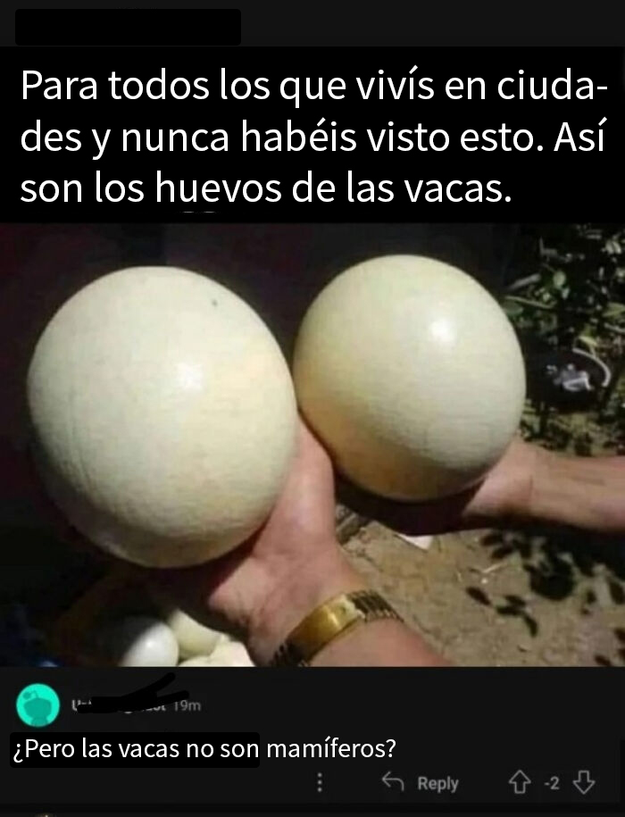 Siempre hay uno