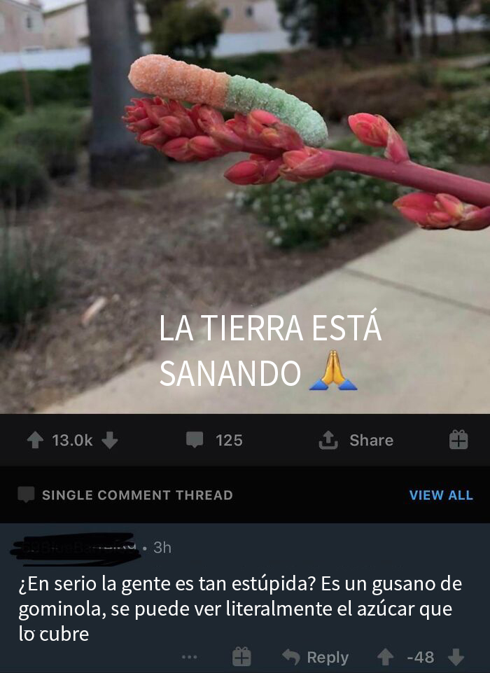 La tierra está sanando