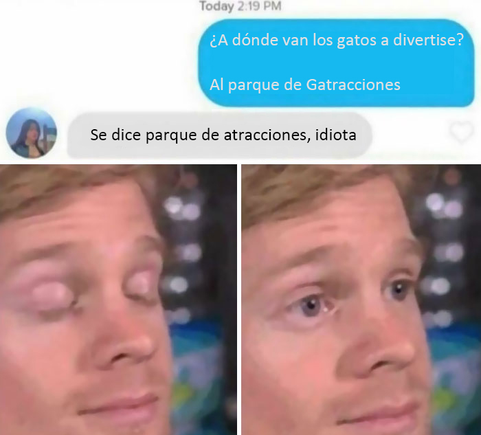 Gatracciones