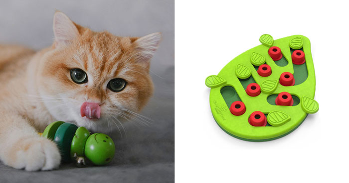 Los mejores juguetes para gatos de 2024, aprobados por veterinarios
